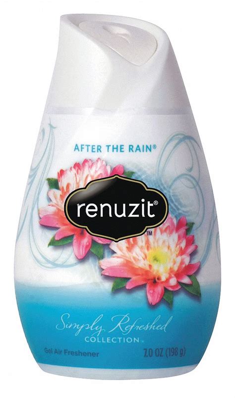 Experience the Enchantment of Renuzit Everlasting Spell: Find Your Fragrant Escape